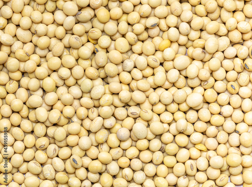 macro soybean,Soybeans shot from above. Premium grade soybeans. macro soybean,Soybeans shot from above. Premium grade soybeans.