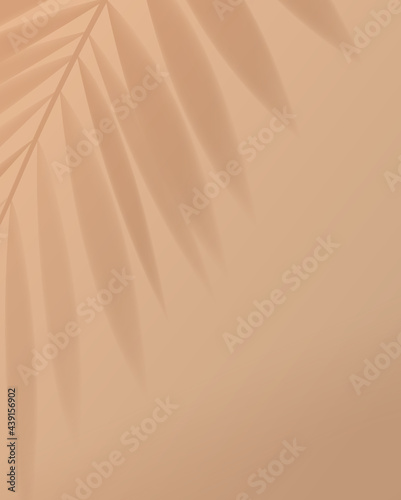 Tropical palm leaf shadow on light pastel brown background. vector design