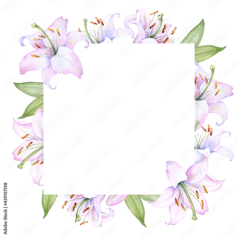 Square l frame with white and pink lily flowers, watercolor illustration