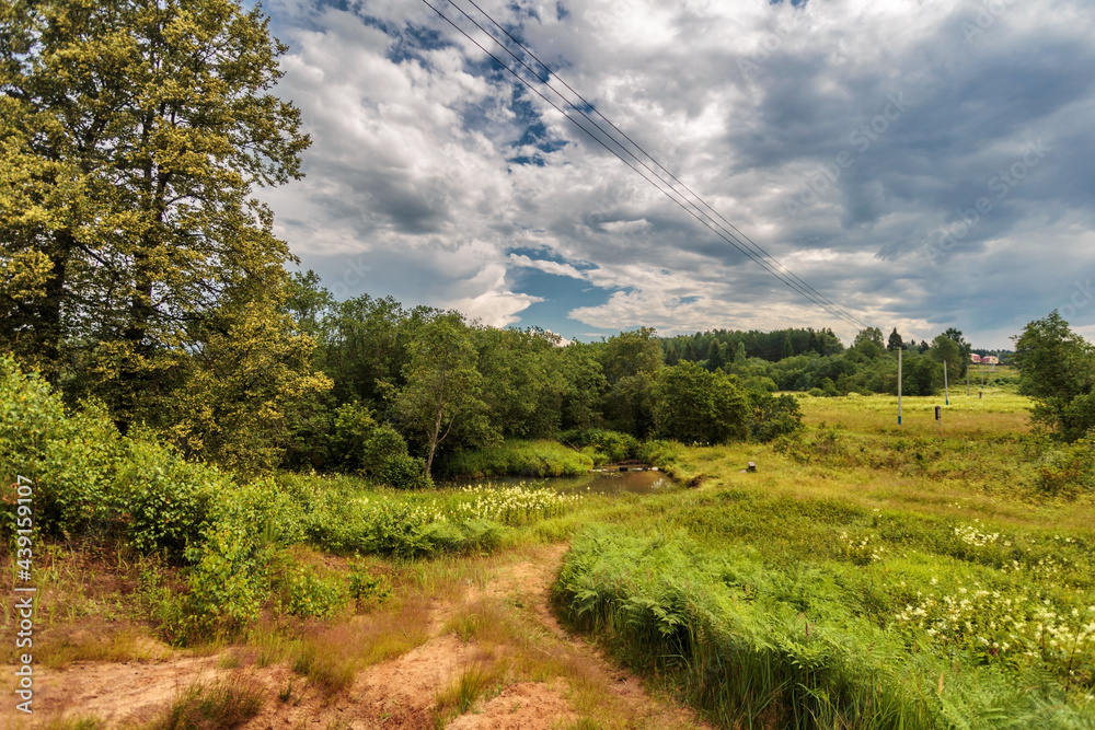 Fototapeta premium Road through summer field