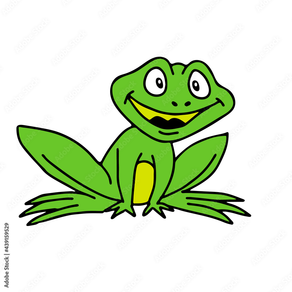 Fototapeta premium Hand drawn outline green vector illustration of a beautiful happy frog isolated on a white background