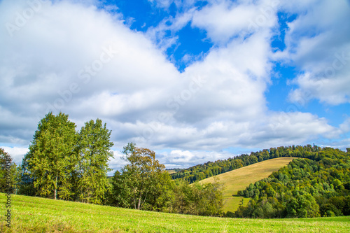 field covered with grass with trees on a background of mountains on a warm summer day and blue sky with clouds.