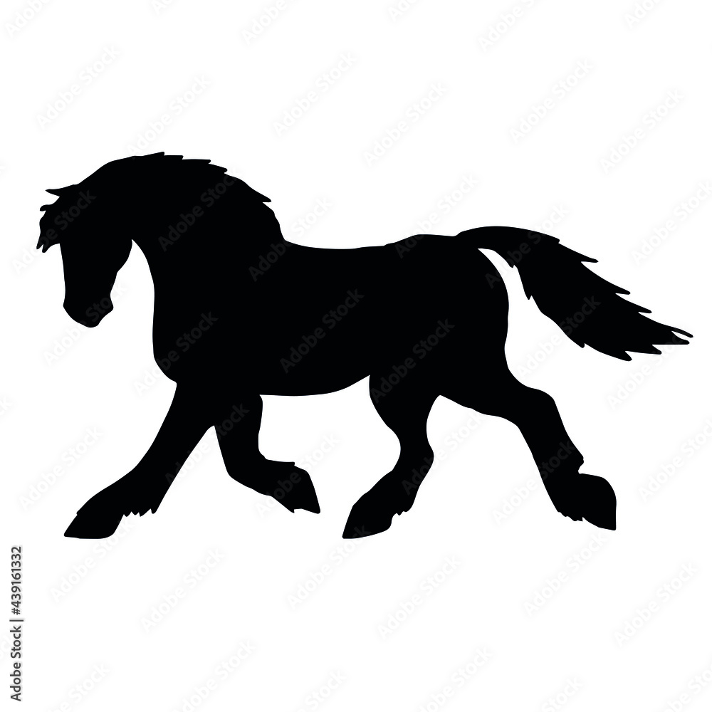 Vector hand drawn draft horse silhouette isolated on white background