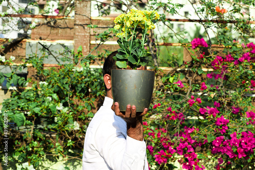 Holding beautiful flower plants' pot in garden
