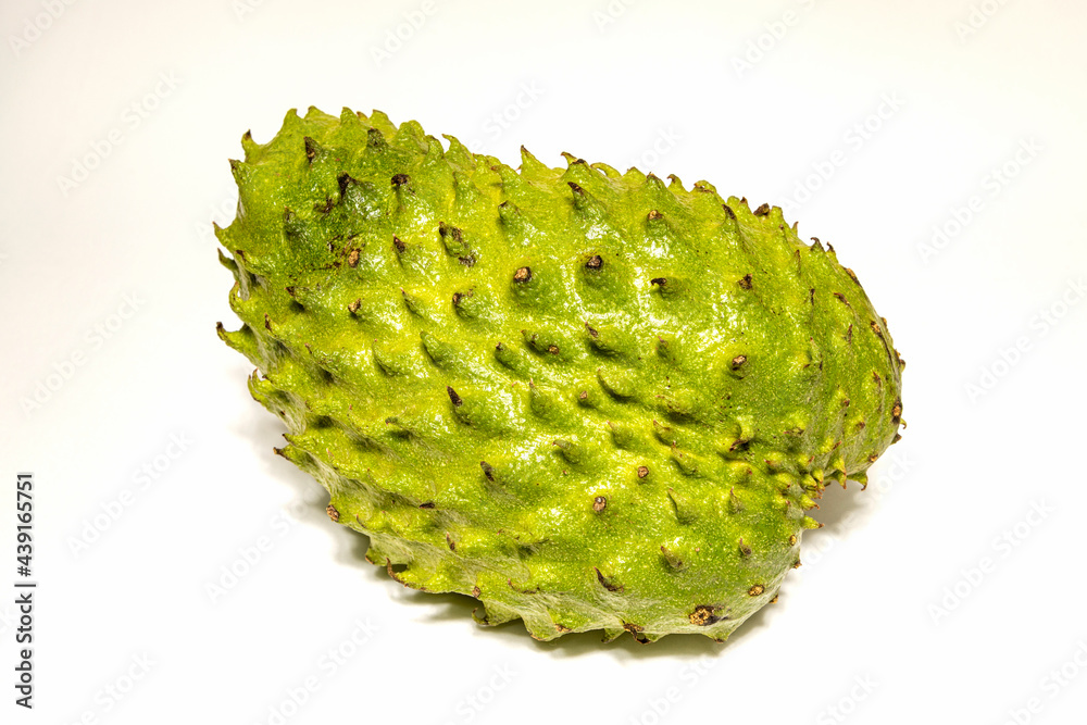 Annona muricata or graviola isolated on white background Annona muricata or graviola isolated on white background