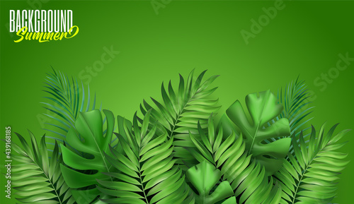 Abstract tropical leaf background. Repeating tropic leaves pattern. Green foliage. Exotic palm tree branches. Summer and spring design element. Decoration. Jungle.