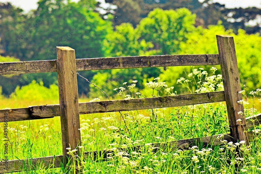 Close up of fence in countryside Close up of fence in countryside
