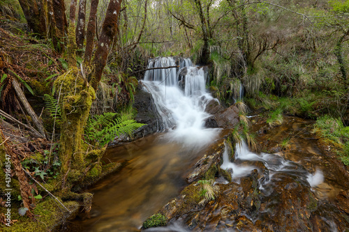 Waterfall in a beautiful forest in the area of Galicia  Spain.