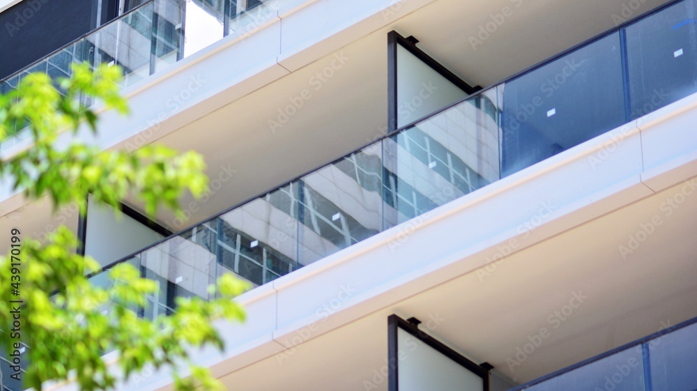 Fototapeta premium Eco architecture. Green tree and apartment building. The harmony of nature and modernity.