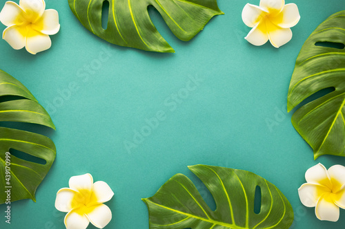 Summer background with tropical frangipani flowers and green tropical palm leaves on green background. Flat lay, top view. Summer party backdrop