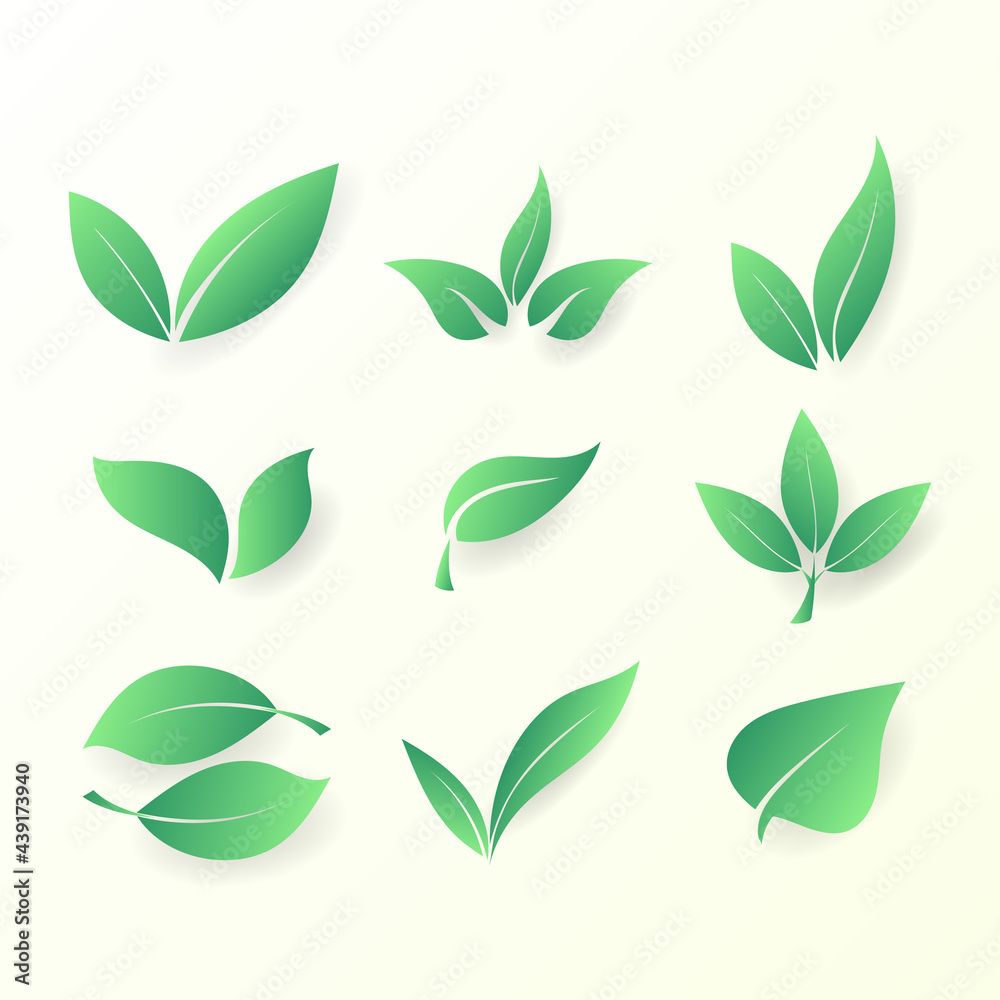 Green Leaf Set vector, isolated on white background , Vector illustration EPS 10