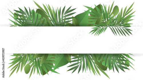 Frame background with plants and leaves with copy space, isolated on white color background , Vector Illustration EPS 10
