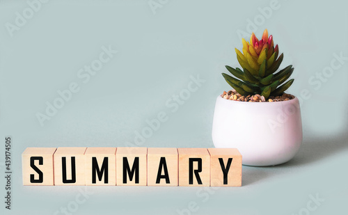 SUMMARY word from wooden blocks on a table, next to a cactus photo