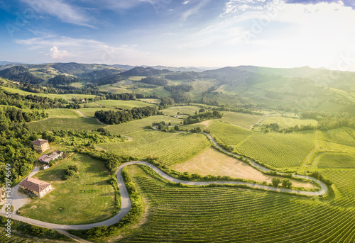Aerial view of countryside bends vineyards hills and trees in Oltrepo Pavese