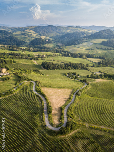 Aerial view of countryside bends vineyards hills and trees in Oltrepo Pavese