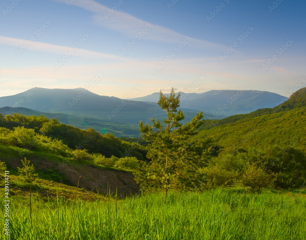 beautiful green mountain valley at the evening, natural summer travel background