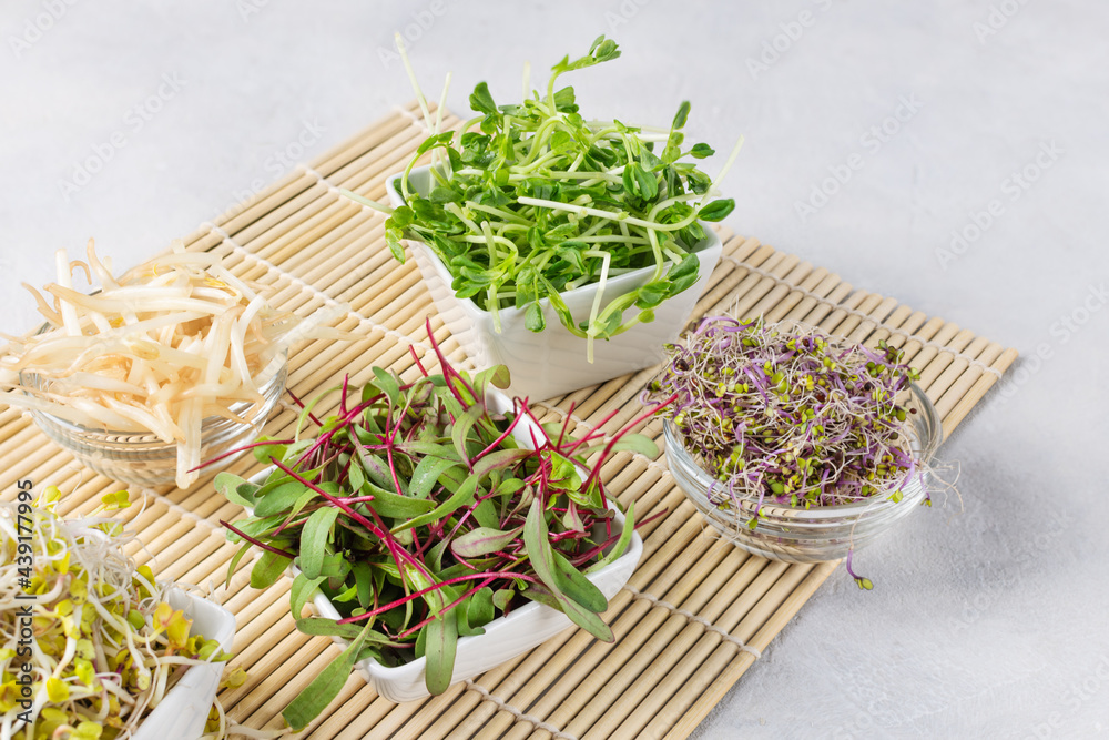 Mix of various sprouts on white background. Sprouted seeds. Healthy eating, detoxification. Mix of various sprouts on white background. Sprouted seeds. Healthy eating, detoxification.