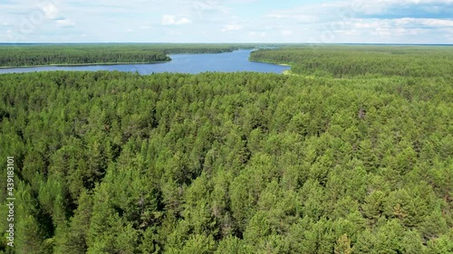 Flight over the taiga forest lake