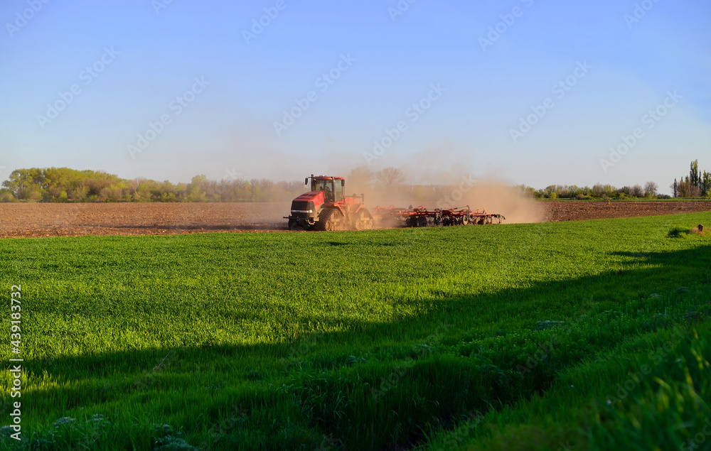 Obraz premium a red tractor cultivates a field at sunset in a cloud of dust. beautiful photography of agriculture and technology