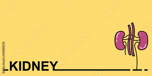 Conceptual medical poster on white background, icon of kidney organ, treatment of diseases, kidney and urology concept.
