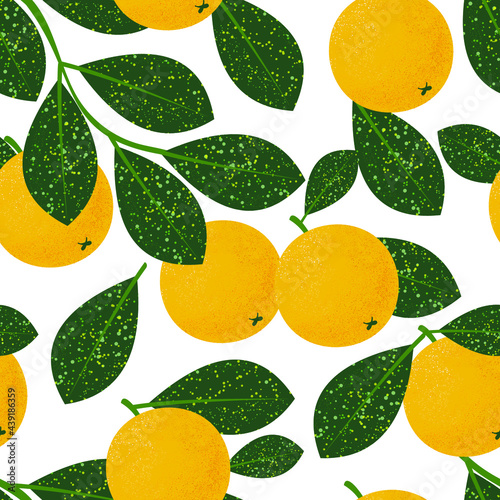 Seamless pattern with oranges on a white background. Summer fruits for a healthy lifestyle. Organic exotic fruit fruit. Print for fabrics, wallpapers, decorative pillows. Vector.