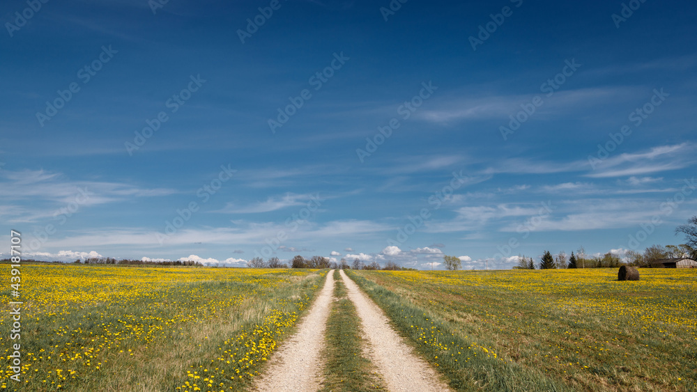 road in the countryside flowers