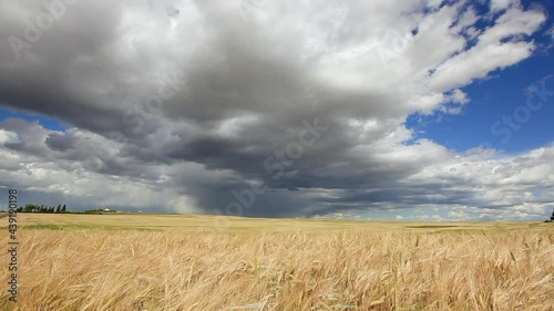 Grain and clouds time lapse