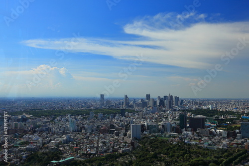 Tokyo 六本木ヒルズから新宿方面全景 © yasuki 