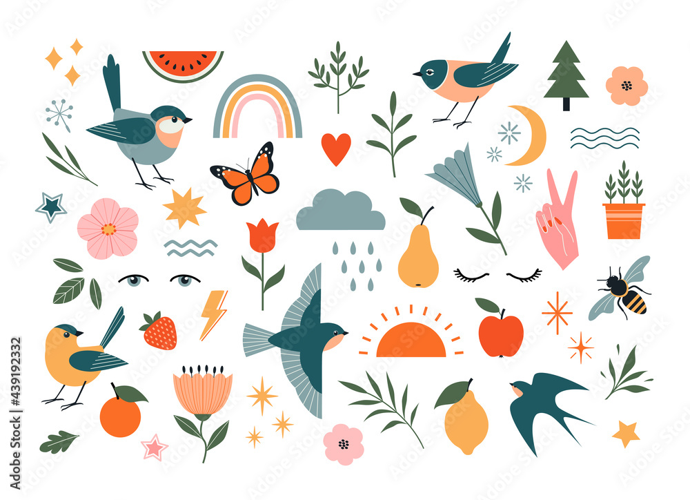 Set of nature vector design elements isolated on white background. Birds, floral and flower elements, fruit, insects and weather elements.