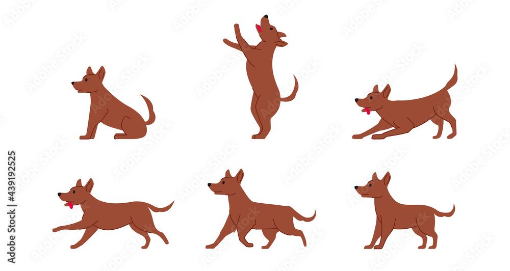 ordinary mongrel dog various poses flat line graphic isolated ordinary mongrel dog various poses flat line graphic isolated