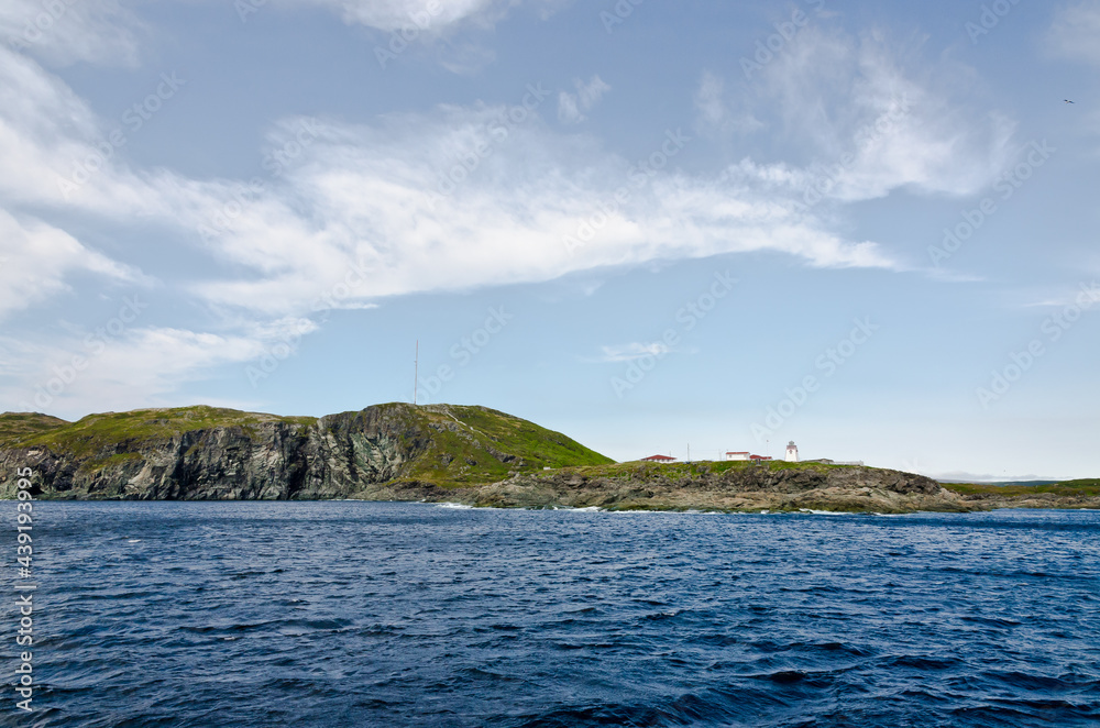 Newfoundland coast