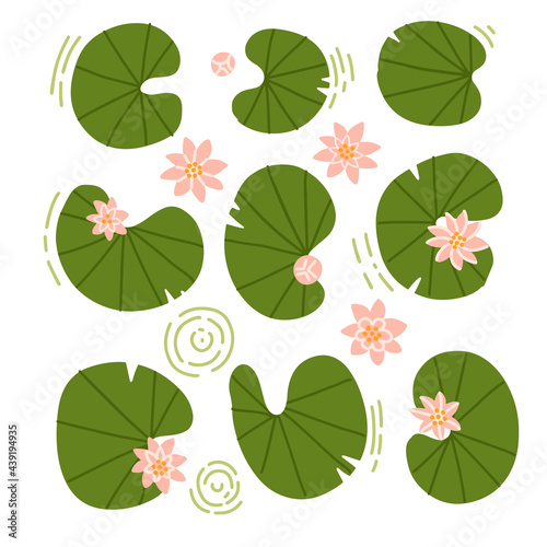 Japanese or Chinese flowers and lilypads set. Collection of rose water lotus and leaves top view. Up view composition. Vector flat hand drawn illustration.