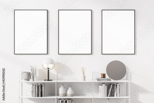White living room with bookshelves and three posters © ImageFlow