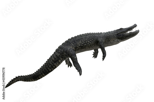 3D illustration of an Alligator swimming upwards with mouth open isolated on white.