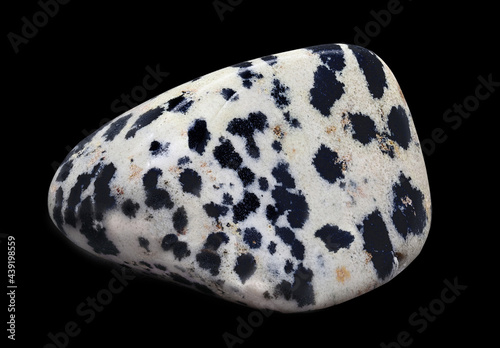 A dalmatian jasper gemstone in closeup isolated on a white background