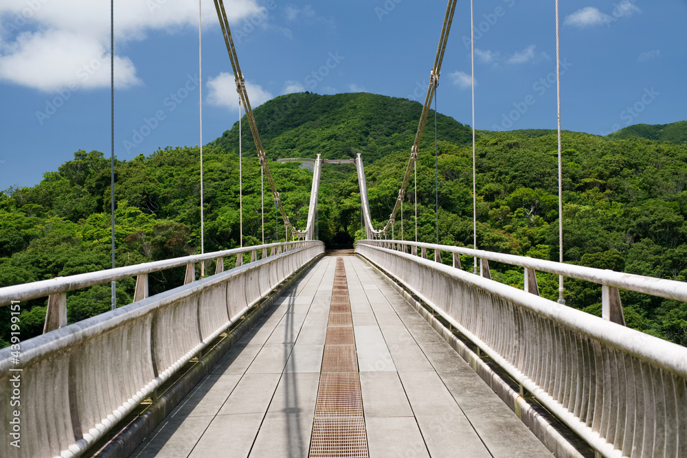 Okinawa,Japan - May 24, 2021: A suspension bridge over Ishigaki dam lake in Ishigaki island, Okinawa, Japan
