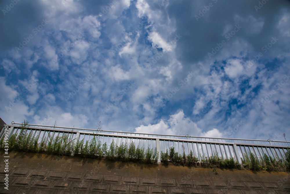 Fototapeta premium 橋と青空