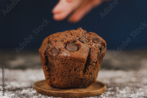 pastry chef presenting homemade vanilla and chocolate chips muffins  on a black background with sugar