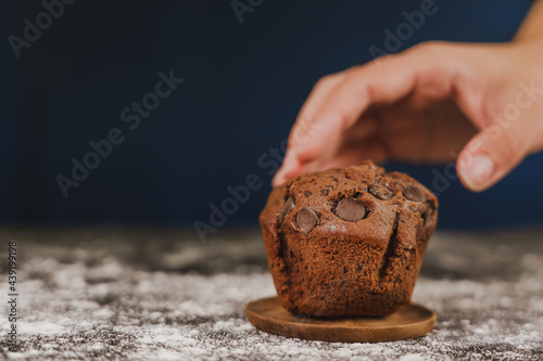 pastry chef presenting homemade vanilla and chocolate chips muffins  on a black background with sugar
