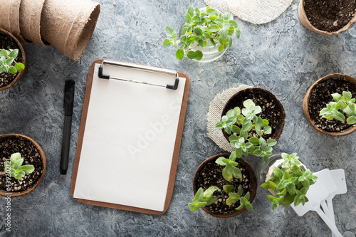 Aromatic plants such as oregano and peppermint growing in biodegradable peat pots and a clipboard with blank paper for notes, on a textured surface, eco-friendly and homegrown concept