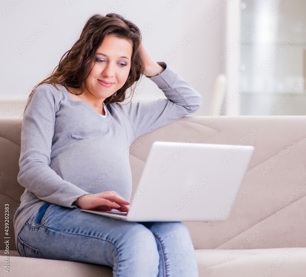 Naklejka premium Pregnant woman working on laptop sitting on sofa
