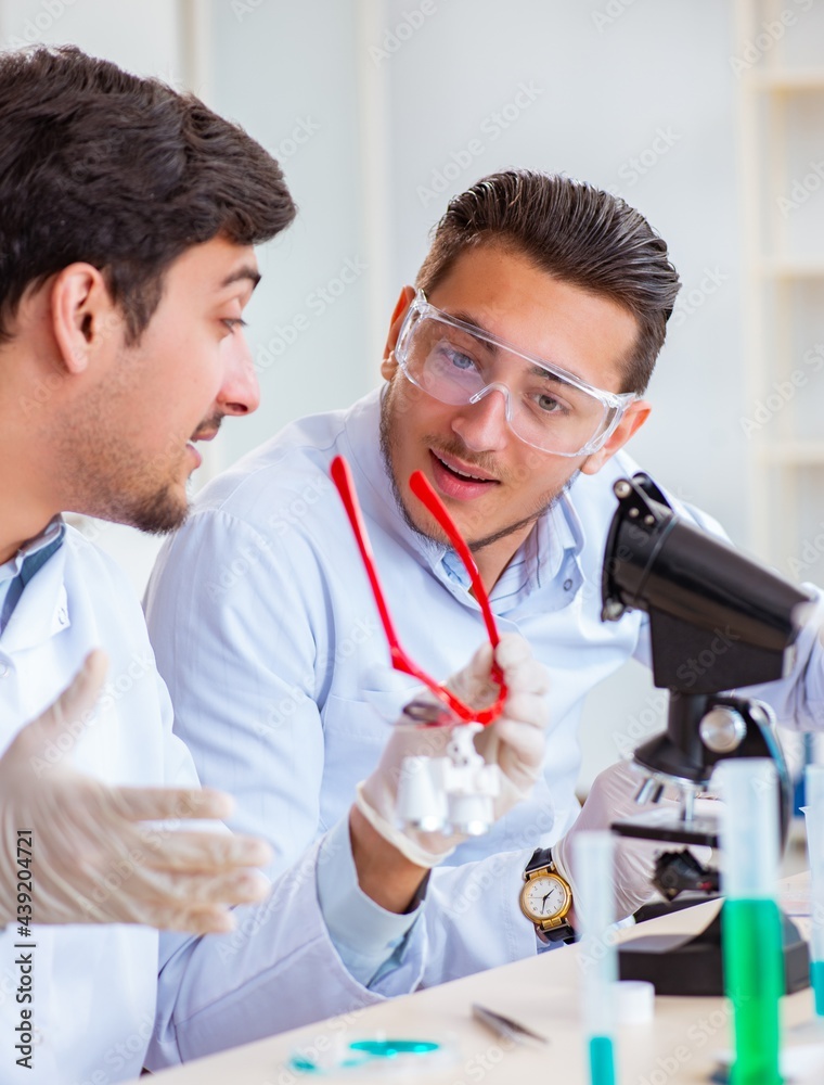 Team of chemists working in the lab Team of chemists working in the lab