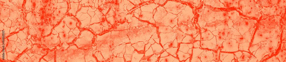 Fototapeta premium abstract live coral color background for design