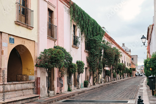 Fototapeta Naklejka Na Ścianę i Meble -  Calle con plantas verdes del centro histórico de la Ciudad de Querétaro colonial