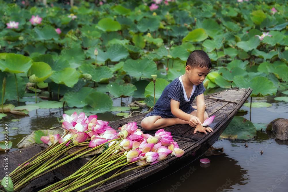 Vietnamese boy playing with pink lotus leaf when his mom boating the traditional wooden boat in the big lake at thap muoi, dong thap province, vietnam, culture and life concept