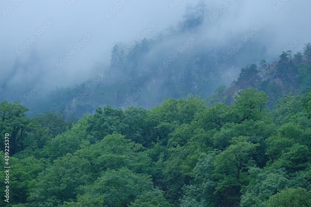 The fog in mountains, Caucasus.