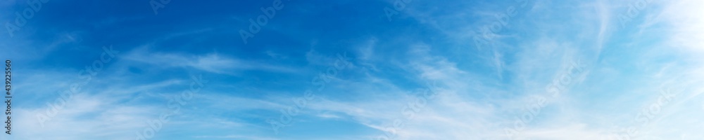 Panorama sky with cloud on a sunny day. Beautiful cirrus cloud.