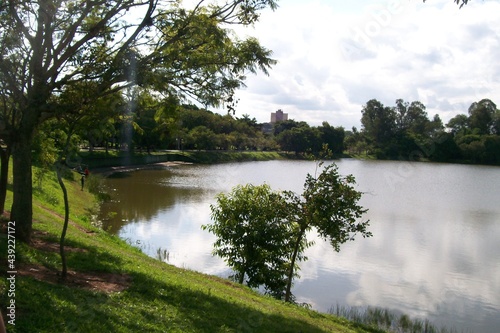 Lago com mata