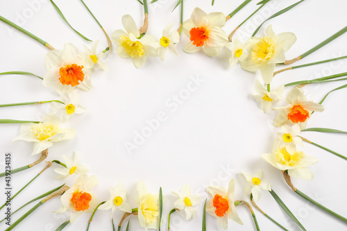 Frame made of beautiful daffodils on white background © Pixel-Shot
