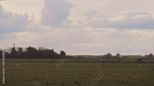 small rural community in Ameland, the Netherlands. peaceful and tranquil landscape photo